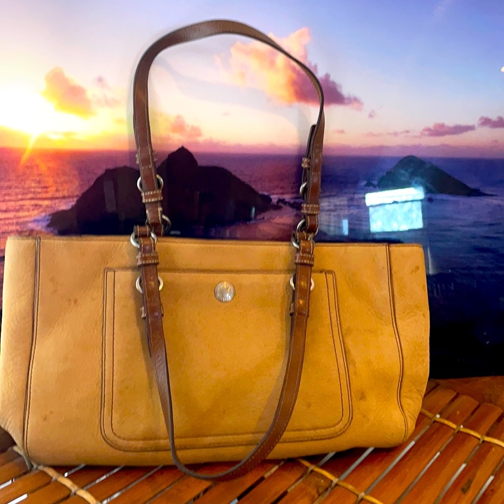 Light brown coach bag